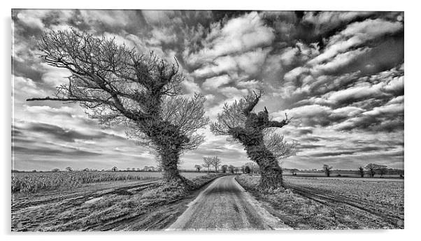  Windswept trees in a flat Norfolk Landscape. Acrylic by Mark Godden
