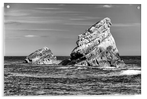 Mupe in mono.  Acrylic by Mark Godden