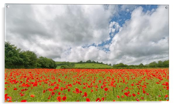 Poppies Acrylic by Mark Godden