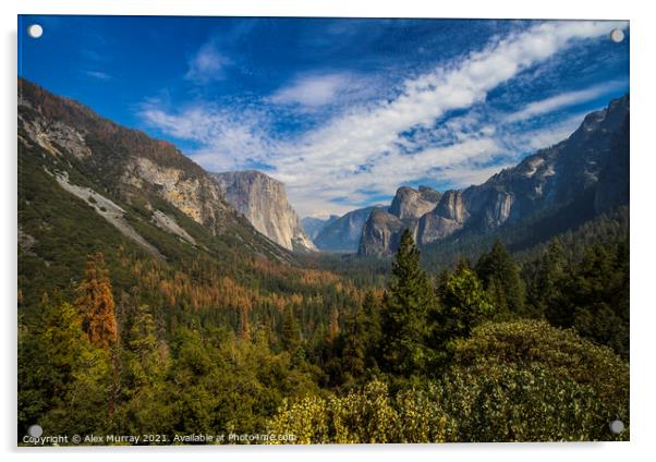 Yosemite Valley Tunnel View Acrylic by Alex Murray