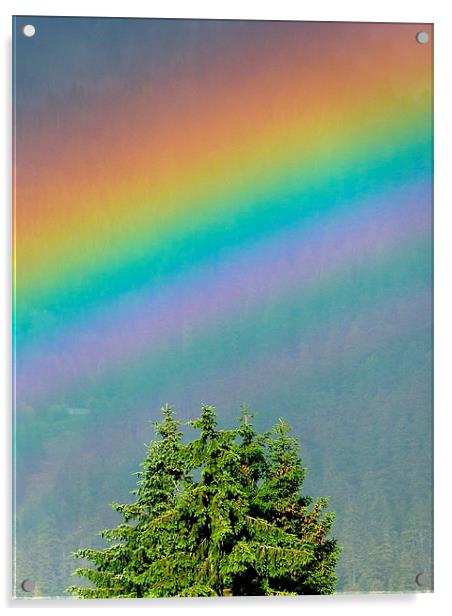 I can sing a rainbow Acrylic by Judith Lightfoot