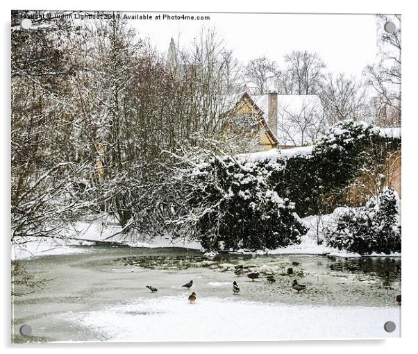 A Frozen Duck Pond  Acrylic by Judith Lightfoot