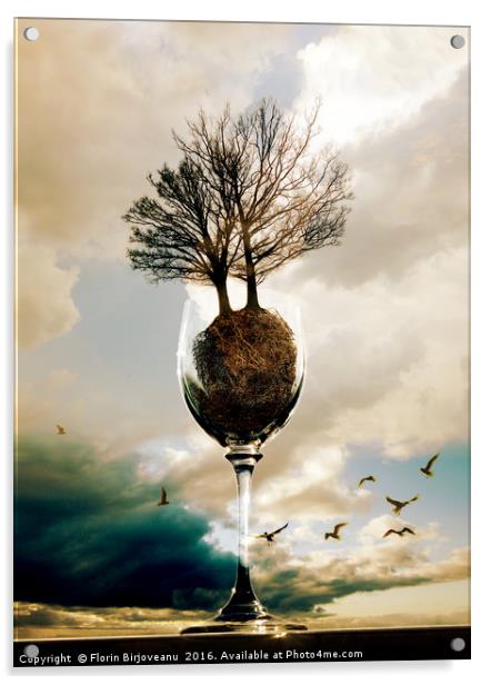 Glass Of Trees Acrylic by Florin Birjoveanu
