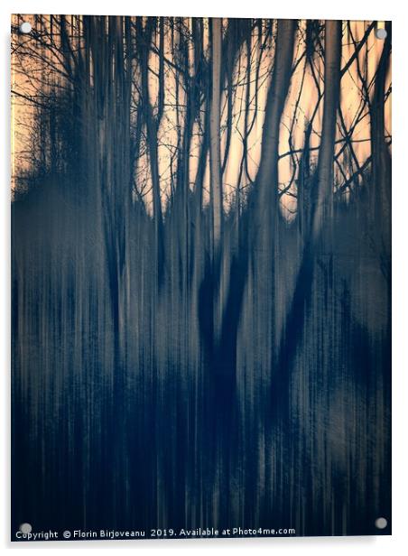 Tinted Woods Bw Acrylic by Florin Birjoveanu