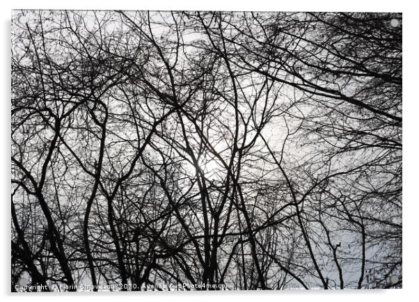 Tree Background Acrylic by Florin Birjoveanu
