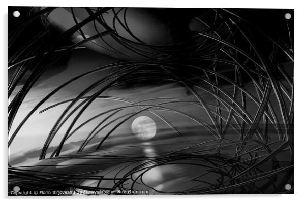 Full Moon Bw Acrylic by Florin Birjoveanu