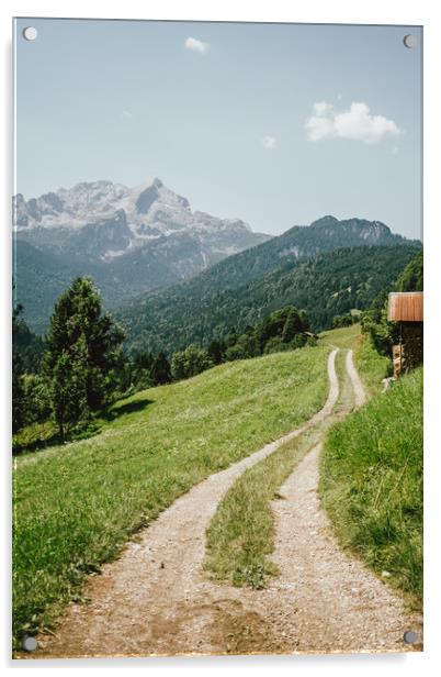 Pathway In Alps Mountains Acrylic by Patrycja Polechonska