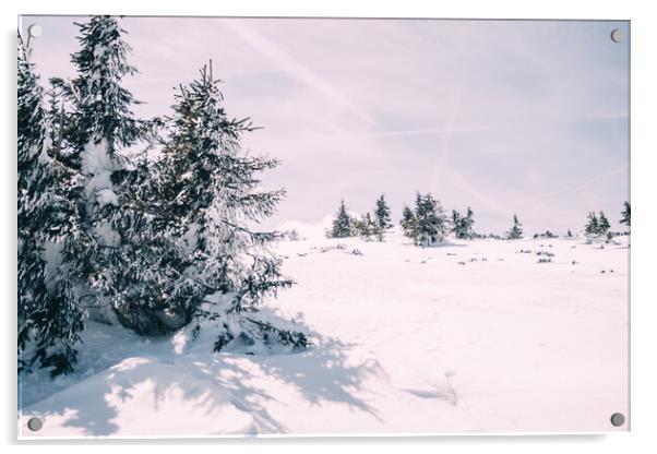 Winter Trees Landscape Acrylic by Patrycja Polechonska