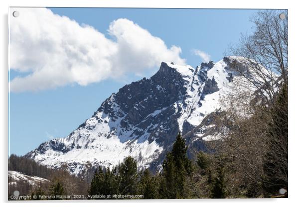 Wind Blowing Snow Cervinia Wildlife Aosta Valley Italy  Acrylic by Fabrizio Malisan