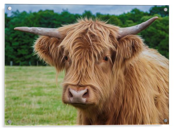  Highland Cow Acrylic by Tanya Hall