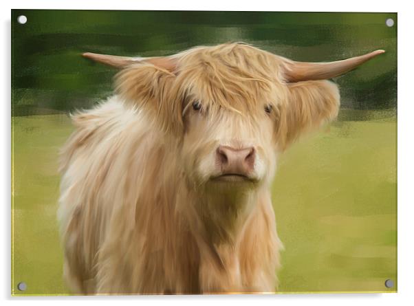  Oil And Chalk Painted Highland Cow Acrylic by Tanya Hall