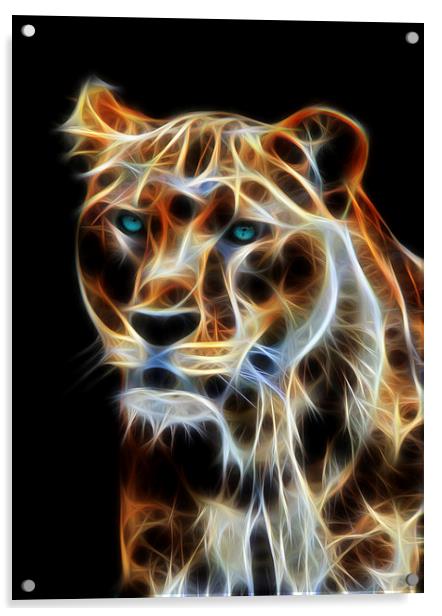  Lioness Fractal Flame Wall Art Acrylic by Tanya Hall