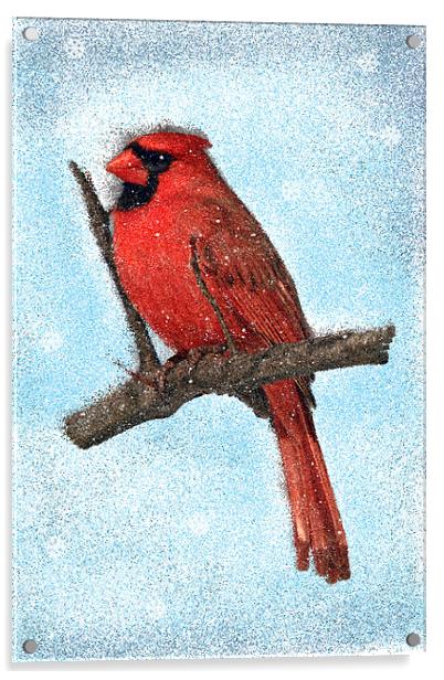 Painted Cardinal Bird, With snowflakes and snow Acrylic by Tanya Hall