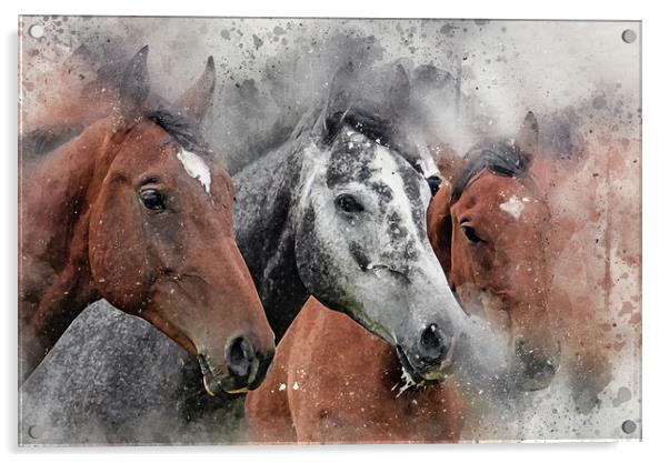 Horse, equine, Digital Watercolor Paint and Grunge Acrylic by Tanya Hall