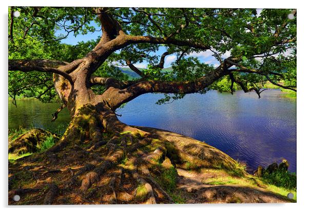  Rydal Water Cumbria Acrylic by Graham Hawcroft