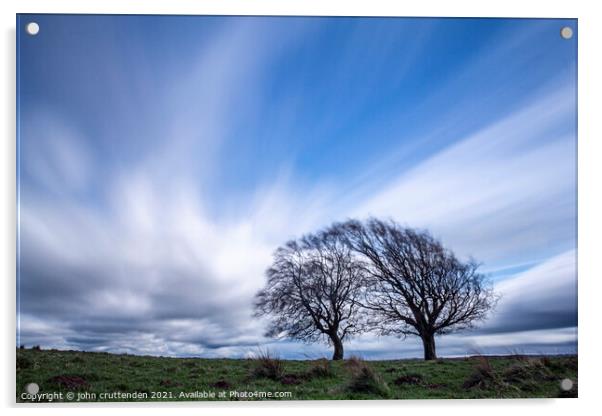 twins  Acrylic by john cruttenden