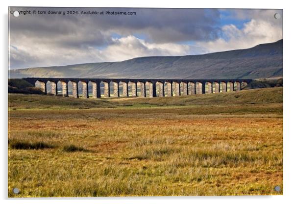 Ribblehead Viaduct Acrylic by tom downing