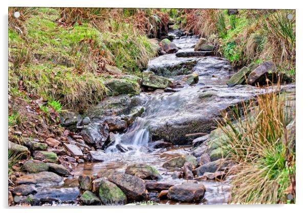 The stream Acrylic by tom downing