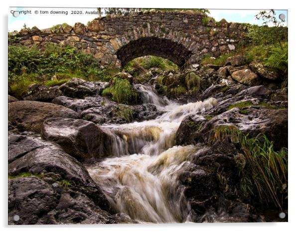 Cascading Waters Acrylic by tom downing