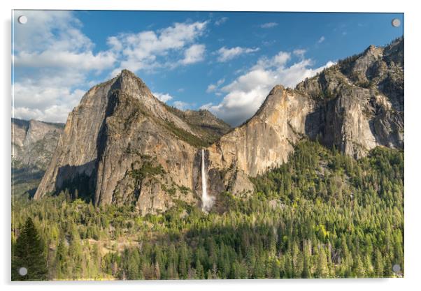 Bridalveil Falls, Yosemite  Acrylic by Bob Small