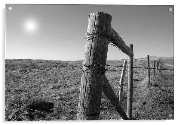  The Fenceline Acrylic by Brian Ewing