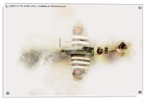 Spitfire Vb AB910 RF-D No.303 Acrylic by Tim Smith
