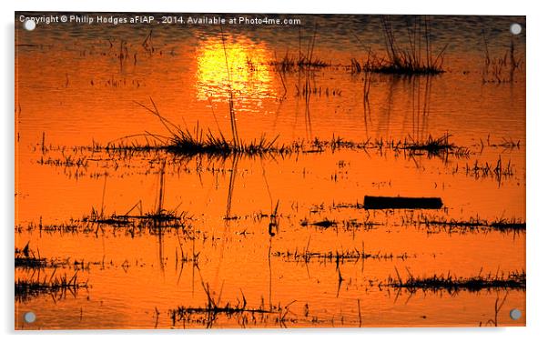  Sunset on the Levels Acrylic by Philip Hodges aFIAP ,