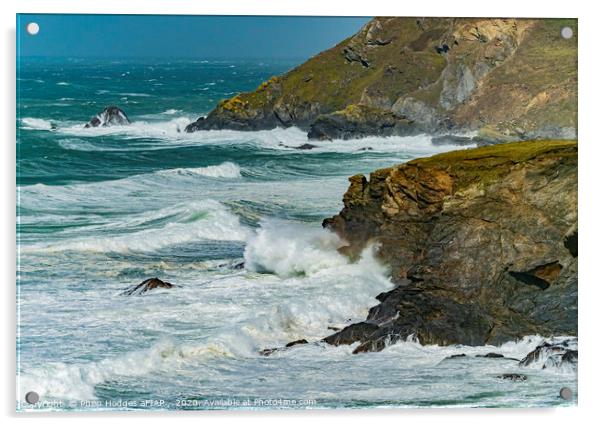 Church Cove Headland during Storm Francis 2020 Acrylic by Philip Hodges aFIAP ,