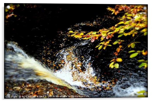 "AUTUMN LEAVES AT THE WATERFALL" Acrylic by ROS RIDLEY