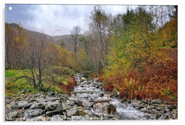 "Autumn at the mountain stream" Acrylic by ROS RIDLEY