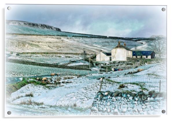 "Farmhouse in Teesdale" Acrylic by ROS RIDLEY