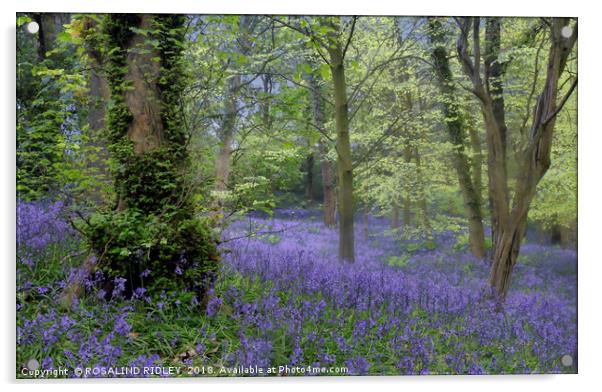 "Evening in a misty bluebell wood" Acrylic by ROS RIDLEY