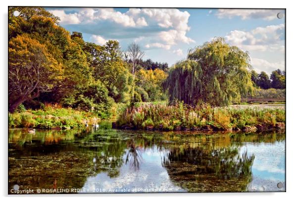 "Early Autumn reflections in the park lake" Acrylic by ROS RIDLEY