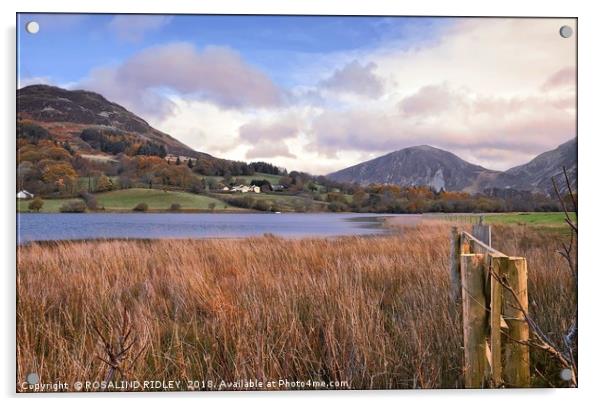 "Loweswater towards Darling Fell" Acrylic by ROS RIDLEY