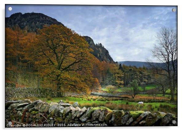 "Autumn in Ennerdale" Acrylic by ROS RIDLEY