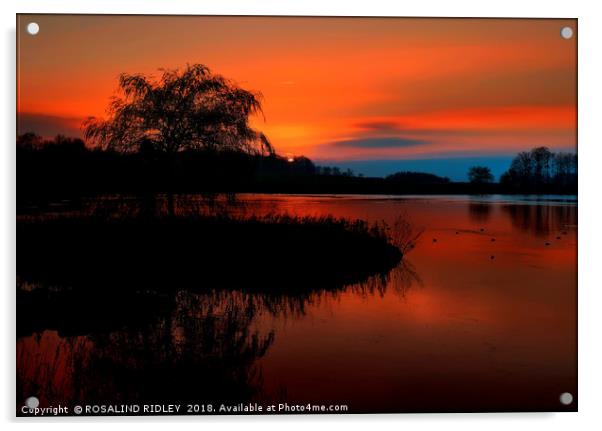 "Fiery sunset at the lake" Acrylic by ROS RIDLEY