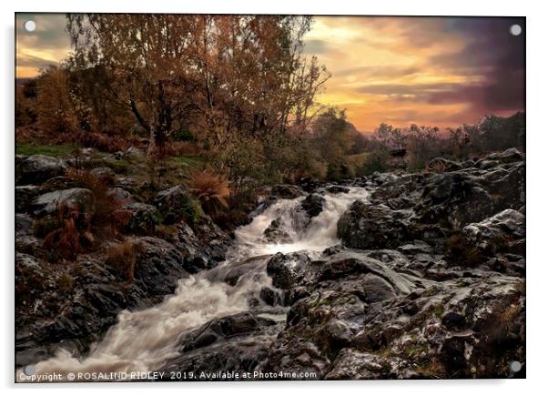 "Waterfall Ashness Bridge" Acrylic by ROS RIDLEY