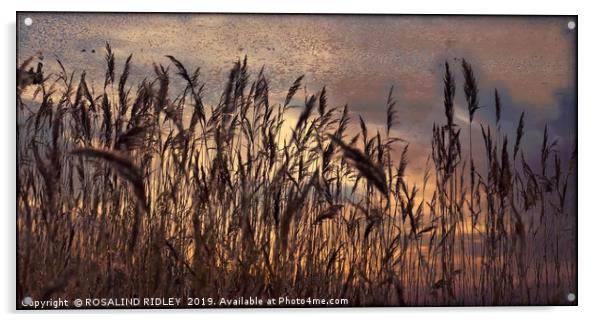 "Reeds in a breeze" Acrylic by ROS RIDLEY
