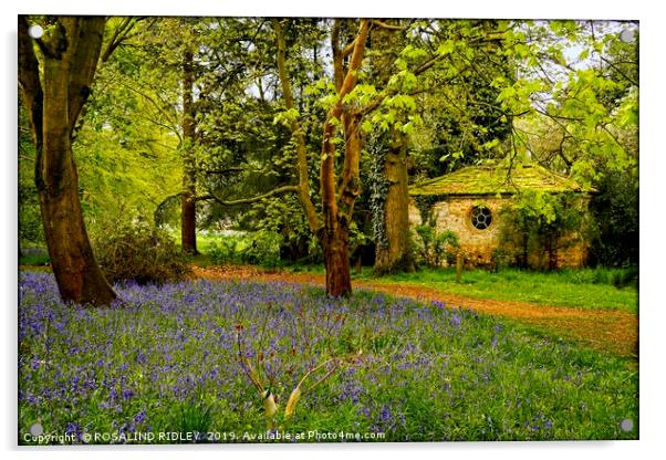 "Little Arbour  in the Bluebell wood" Acrylic by ROS RIDLEY