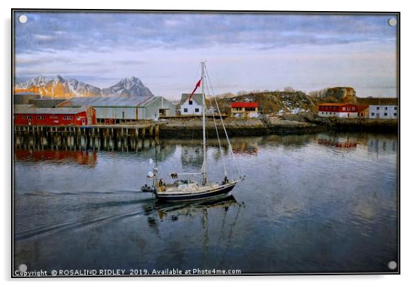 "Expedition boat at Svolvaer Norway" Acrylic by ROS RIDLEY