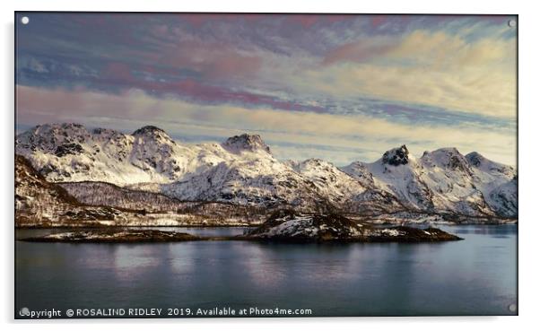 "Evening Light around the Lofoten islands" Acrylic by ROS RIDLEY