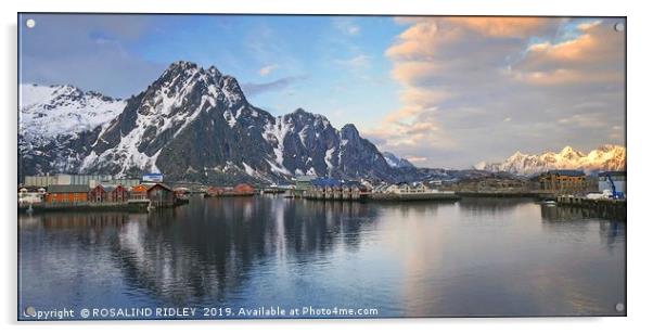 "Svolvaer Norway" Acrylic by ROS RIDLEY