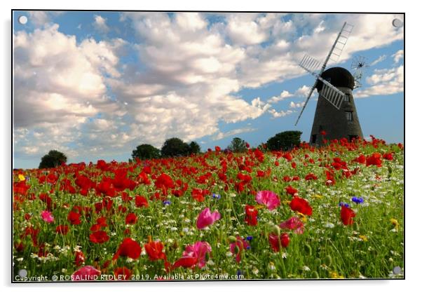 "Old Windmill in the poppy fields" Acrylic by ROS RIDLEY