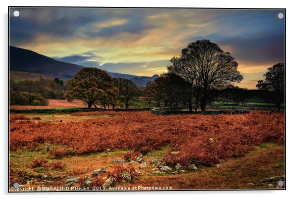 "Hazy sunrise across Wasdale " Acrylic by ROS RIDLEY