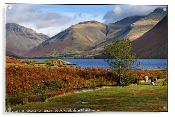 "Golden hour autumn at Wastwater" Acrylic by ROS RIDLEY