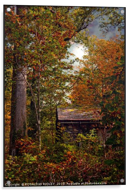 "Little hut in the Autumn wood" Acrylic by ROS RIDLEY
