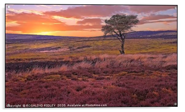 "Sunset across the moors" Acrylic by ROS RIDLEY