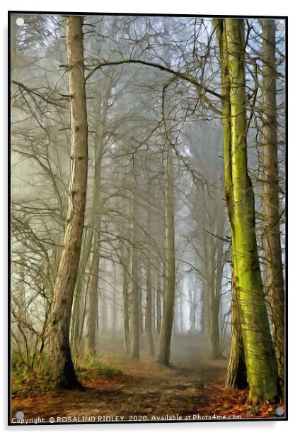 "Portrait of a foggy wood" Acrylic by ROS RIDLEY