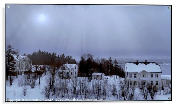 "Misty morning light Finnsnes Norway" Acrylic by ROS RIDLEY