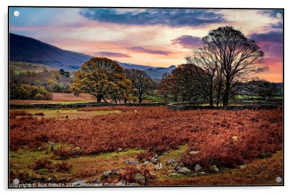 Wasdale Late Autumn  Acrylic by ROS RIDLEY